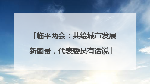 临平两会：共绘城市发展新图景，代表委员有话说