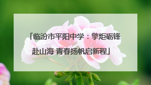 临汾市平阳中学：擎炬砺锋赴山海 青春扬帆启新程
