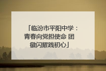 临汾市平阳中学：青春向党担使命 团徽闪耀践初心