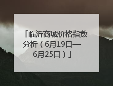 临沂商城价格指数分析（6月19日—6月25日）