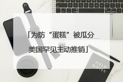 为防“蛋糕”被瓜分 美国罕见主动推销