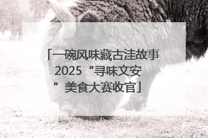 一碗风味藏古洼故事 2025“寻味文安”美食大赛收官