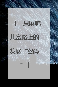 一只麻鸭共富路上的发展“密码”