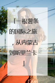 一根薯条的国际之旅，从内蒙古到斯里兰卡