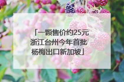 一颗售价约25元 浙江台州今年首批杨梅出口新加坡