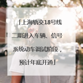 上海轨交18号线二期进入车辆、信号系统动车调试阶段，预计年底开通