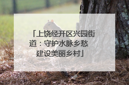 上饶经开区兴园街道：守护水脉乡愁 建设美丽乡村