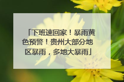 下班速回家！暴雨黄色预警！贵州大部分地区暴雨，多地大暴雨