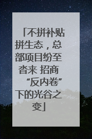 不拼补贴拼生态，总部项目纷至沓来 招商“反内卷”下的光谷之变