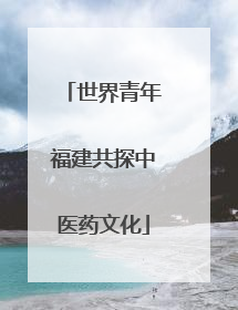世界青年福建共探中医药文化