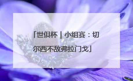 世俱杯｜小组赛：切尔西不敌弗拉门戈