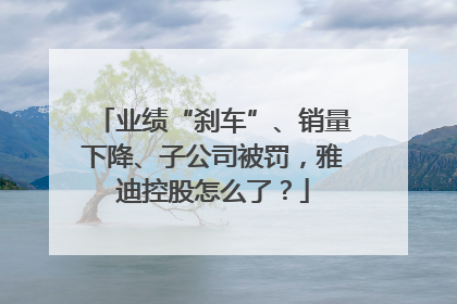 业绩“刹车”、销量下降、子公司被罚，雅迪控股怎么了？