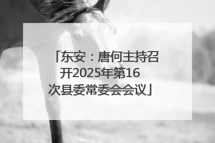 东安：唐何主持召开2025年第16次县委常委会会议