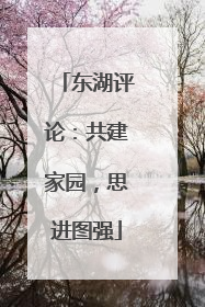 东湖评论：共建家园，思进图强