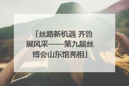 丝路新机遇 齐鲁展风采——第九届丝博会山东馆亮相