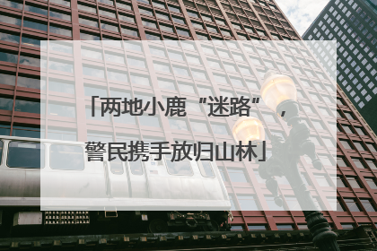两地小鹿“迷路”，警民携手放归山林