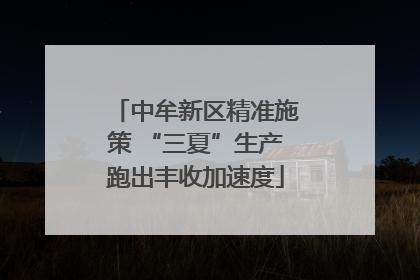 中牟新区精准施策 “三夏”生产跑出丰收加速度
