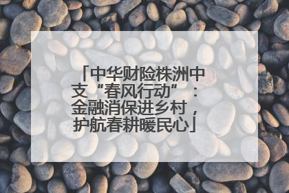 中华财险株洲中支“春风行动”：金融消保进乡村，护航春耕暖民心