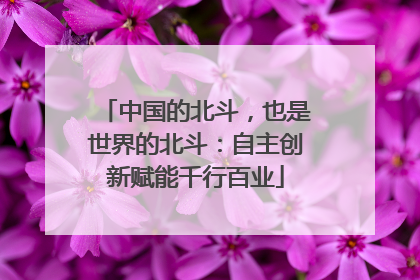 中国的北斗，也是世界的北斗：自主创新赋能千行百业