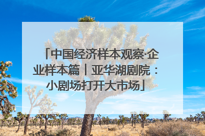 中国经济样本观察·企业样本篇︱亚华湖剧院：小剧场打开大市场