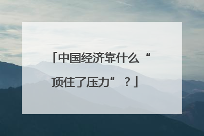 中国经济靠什么“顶住了压力”？