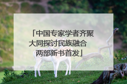 中国专家学者齐聚大同探讨民族融合 两部新书首发