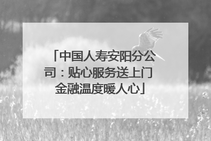 中国人寿安阳分公司：贴心服务送上门 金融温度暖人心