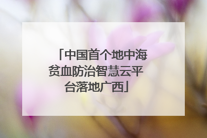 中国首个地中海贫血防治智慧云平台落地广西
