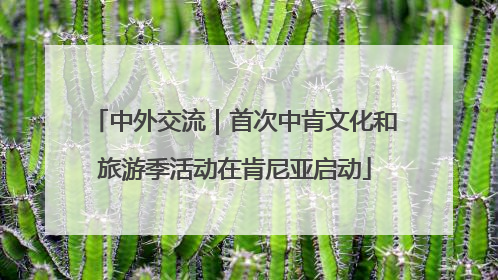 中外交流｜首次中肯文化和旅游季活动在肯尼亚启动