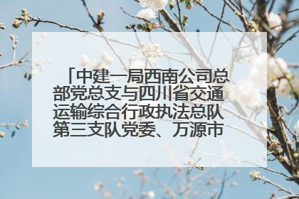 中建一局西南公司总部党总支与四川省交通运输综合行政执法总队第三支队党委、万源市草坝镇莲花院村党支部开展党建联建