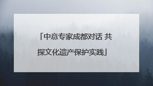 中意专家成都对话 共探文化遗产保护实践