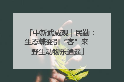 中新武威观｜民勤：生态蝶变引“客”来 野生动物乐逍遥