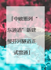 中欧班列“东通道”新建绥芬河隧道正式贯通