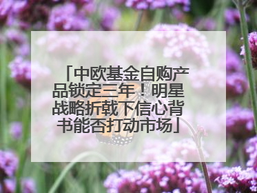 中欧基金自购产品锁定三年！明星战略折戟下信心背书能否打动市场