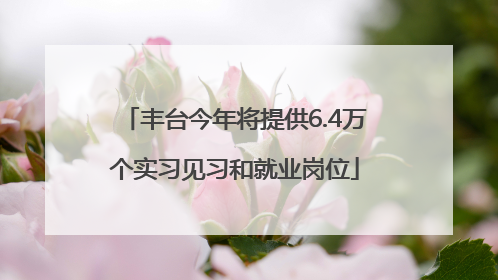 丰台今年将提供6.4万个实习见习和就业岗位