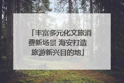 丰富多元化文旅消费新场景 海安打造旅游新兴目的地