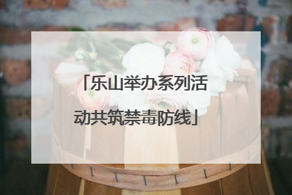 乐山举办系列活动共筑禁毒防线