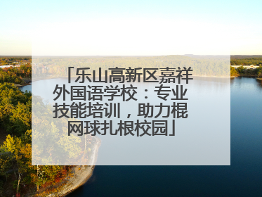 乐山高新区嘉祥外国语学校：专业技能培训，助力棍网球扎根校园