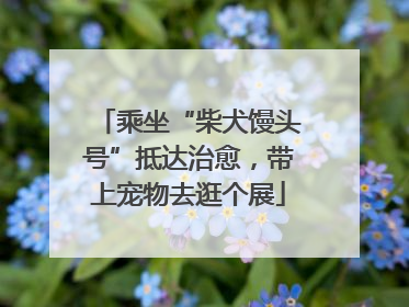 乘坐“柴犬馒头号”抵达治愈，带上宠物去逛个展