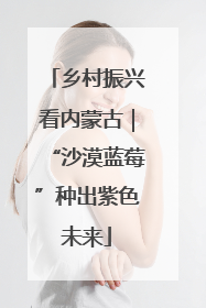 乡村振兴看内蒙古｜“沙漠蓝莓”种出紫色未来