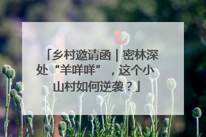 乡村邀请函｜密林深处“羊咩咩”，这个小山村如何逆袭？