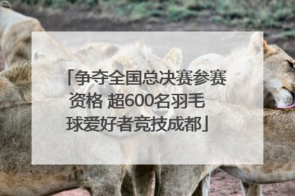 争夺全国总决赛参赛资格 超600名羽毛球爱好者竞技成都