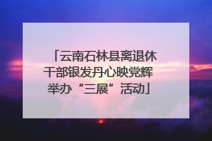 云南石林县离退休干部银发丹心映党辉举办“三展”活动