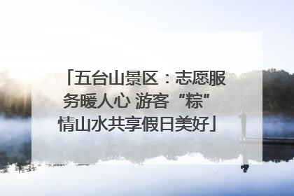 五台山景区：志愿服务暖人心 游客“粽”情山水共享假日美好