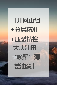 井网重组+分层精准+压裂精控 大庆油田“唤醒”薄差油藏
