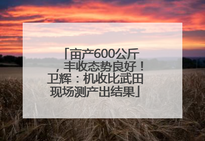 亩产600公斤，丰收态势良好！卫辉：机收比武田现场测产出结果