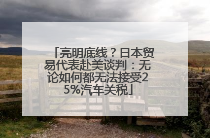 亮明底线？日本贸易代表赴美谈判：无论如何都无法接受25%汽车关税