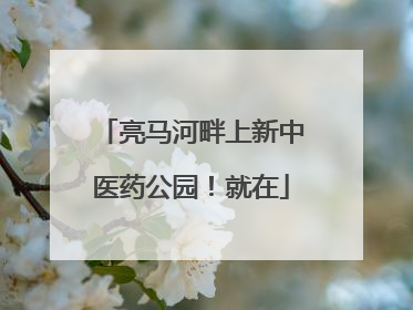 亮马河畔上新中医药公园！就在