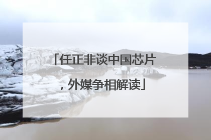 任正非谈中国芯片，外媒争相解读