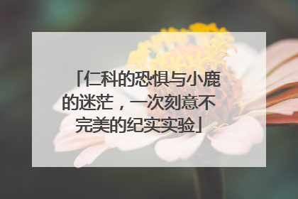 仁科的恐惧与小鹿的迷茫，一次刻意不完美的纪实实验